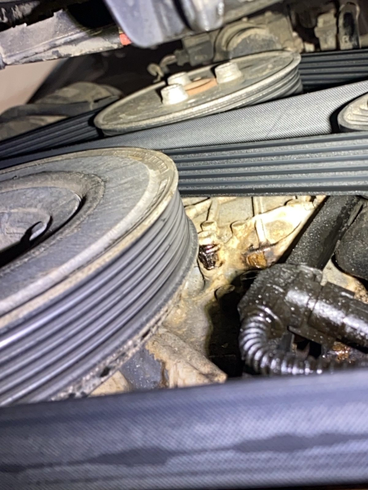 Audi timing belt replacement services A and B Import Auto Fort Collins CO 80524