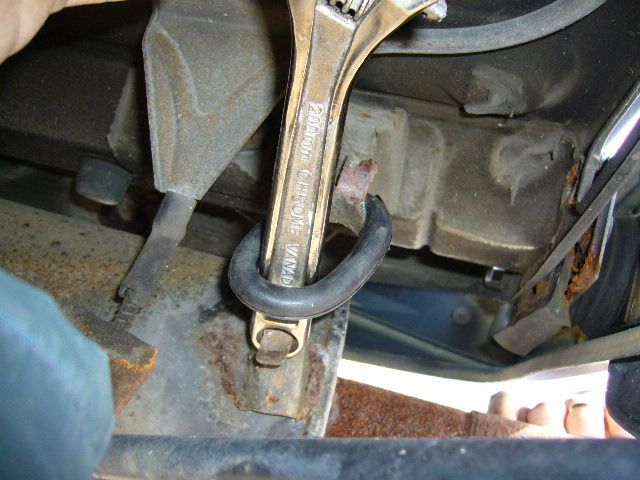 Infiniti rattling noise A and B Import Auto Fort Collins CO 80524